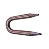 COPPER COATED ROLLED POINT STAPLE